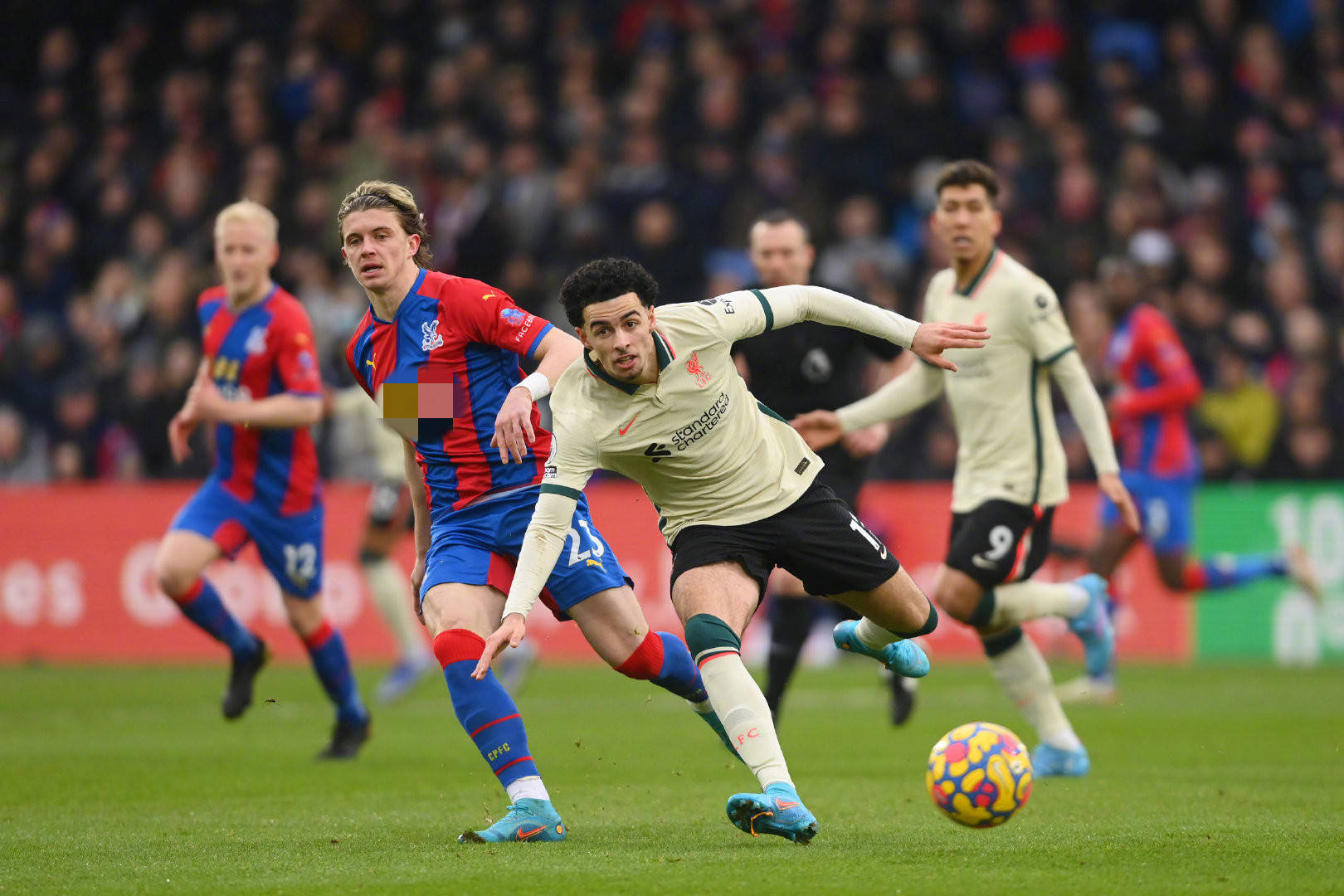 这番话不仅 这番话不仅